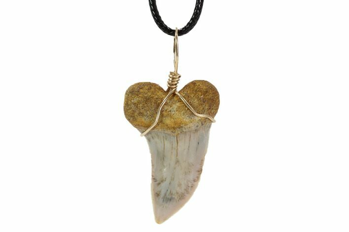 Fossil Mako Tooth Necklace - Bakersfield, California #95243
